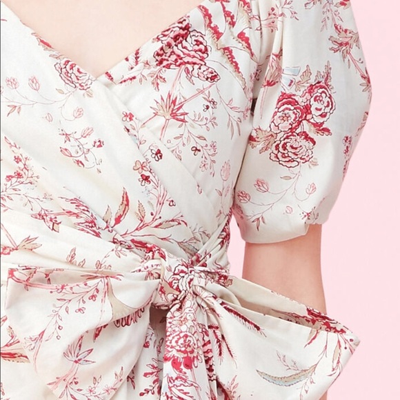 Nwt! Rebecca Taylor LA VIE AVERIE GARDEN DRESS - Picture 4 of 5